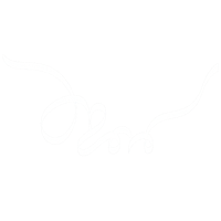 Jamshed Nassin logo